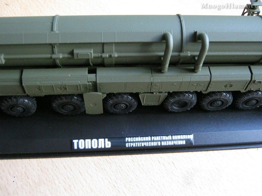 Шильдик Тополь