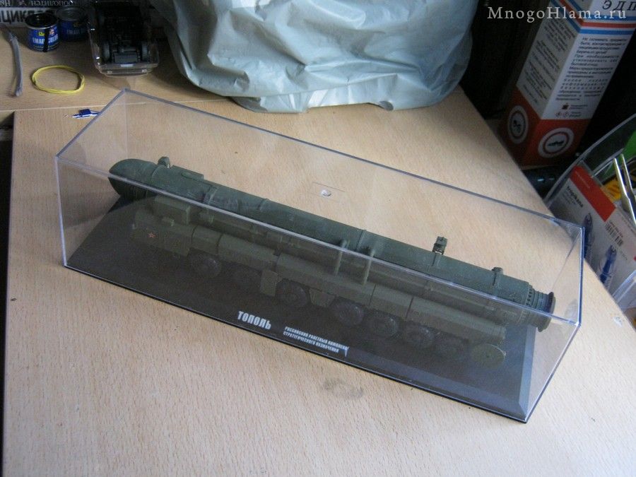 Модель Тополь в прозрачном боксе